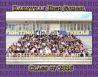 Hahnville Senior Group 2016